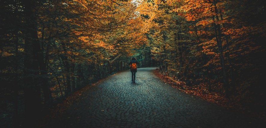 How to stay safe if you’re walking alone at night How to stay safe if you’re walking alone at night